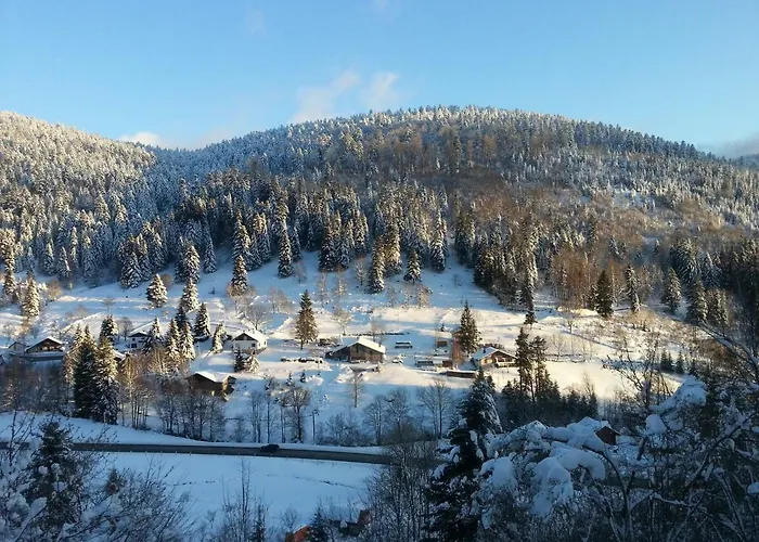 Le Valmandine * La Bresse